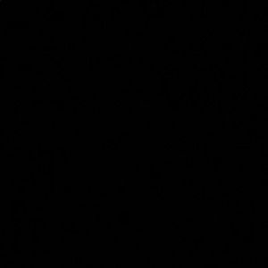 Meet your Posher, Gianna